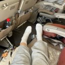 602 | 시드니 아시아나 oz601 oz602 항공탑승후기 이코노미