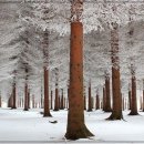 고고피씨 이미지