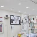 꿈의 애견미용 이미지