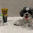 그루밍츄 이미지