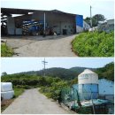 양마농장 이미지