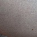 햄프 | 브리티시 카나비스 아토햄프크림 사용 후기