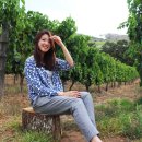 시아농장 이미지