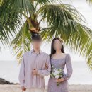 하와이 | 하와이 신혼여행스냅 하와이동네사진사 내돈내산 후기