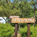 소백산자연누리카라반야영장 | [영주] 아이와 가기 좋은 소백산 자연누리 펜션(카라반)