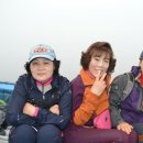 미조해양레저체험마을 Daum카페