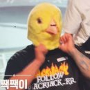 잭잭 이미지