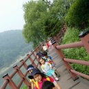 ＜주홍반＞ 율리삼기저수지 견학 이미지