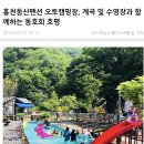 무한리필펜션 홍천동산펜션 오토캠핑장입니다 이미지