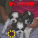 수원-0750 이미지