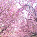 만수노인복지원 이미지