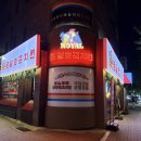 로얄호프 치킨 | 홍대2차술집 추천! 단짠 폭발 버터갈릭 감자튀김과 시원한 하이볼,로얄호프치킨 홍대 본점 후기