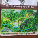 화명대천천 이미지