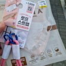 연순 | 베트남 다낭 여행 준비물 구매 끝 에어서울 타고 도착