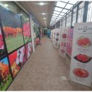 초원한우 이미지