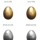 생동농장 이미지