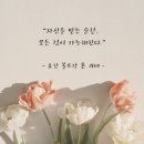 한라산 눈꽃산행 버스타고 1100고지 습지 탐방 이미지