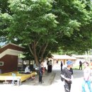 십자봉민박 이미지