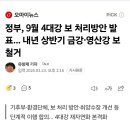연화드림