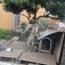 쿠시쿠시하우스 이미지