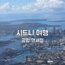 플래티넘약국 | 시드니 공항 면세점 쇼핑, 호주 여행 티웨이 비즈니스 후기