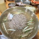 천서리막국수 티스토리