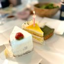 황소네집 | 3월 일상 일기