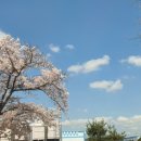 깔끄미 빨래방 이미지