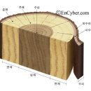 춘재