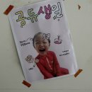 인더공간 | 울산 생일 기념촬영 코코넛인더가든 파티룸 공간대여 후기