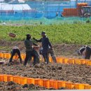 송정축산 이미지