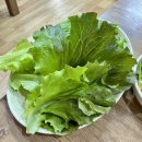 일품등심 | [경북.영주] 영주 한우 맛집 추천 | 불소한우숯불 내돈내산 등심,갈비살 후기 | 최근 가격O