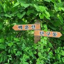 관설초등학교 이미지