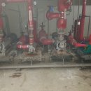 신내새한 이미지