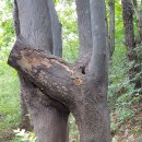 경남선경상가 이미지