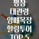 힐링투어 이미지