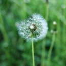 오월에요기-스튜디오