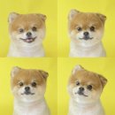 산호동457 이미지