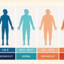 bmi (비엠아이) 뜻 비만 측정법 bmi 지수 정상범위 비만 고도비만 이미지