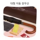 판촉파트너 | 일상의 품격을 높여주는 견고한 비 가림막 대형 자동 장우산 사용 후기