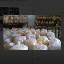 창희 | [시흥 뻥튀기 공장] 물왕저수지 근처 창희민속제과 방문 후기