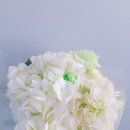 진마학원