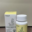 알파CD 브로멜라인 효소효과 제대로 느낀 투데이핏 플로우 정 후기