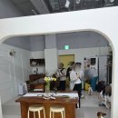 서울파티룸 파티데이즈 | 서울 강아지동반 파티룸 후기, 시츄 11마리와 밤샘 대관한 멍하는개냥