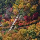 케이디펜션 이미지