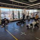 카운터복싱 반송점 이미지