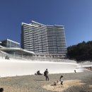 경양식 농소리 | 거제 벨버디어 스위트아쿠아룸 거제한화리조트 ◡̈