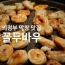 꼴두바우 | [의정부 맛집] 막창 땡길때 가는 의정부동 꼴두바우 : 내돈내산, 돼지막창