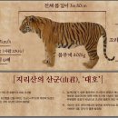 대호 티스토리