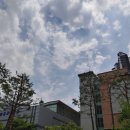 경기도 수원시 영통구 도청로89번길 이미지